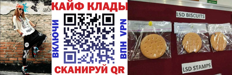 Где купить Куса ГАШ  ОМГ ОМГ ТОР  Меф  КЕТАМИН  Галлюциногенные грибы  Cocaine  Бутират 